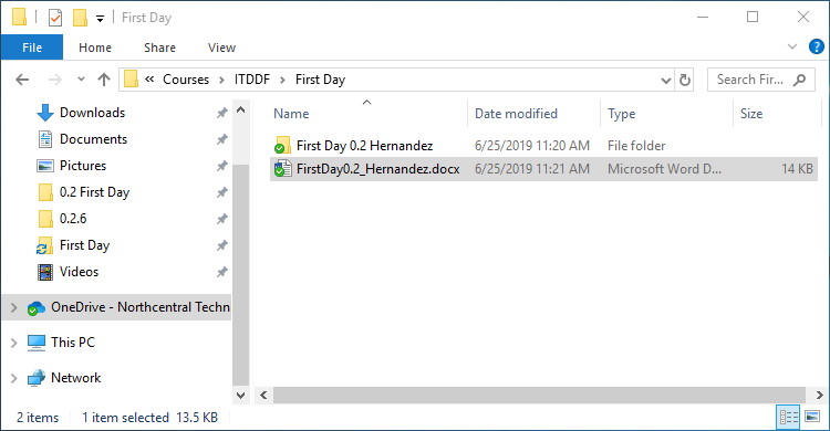 0.2 First Day 1 Snip RenameWordDoc